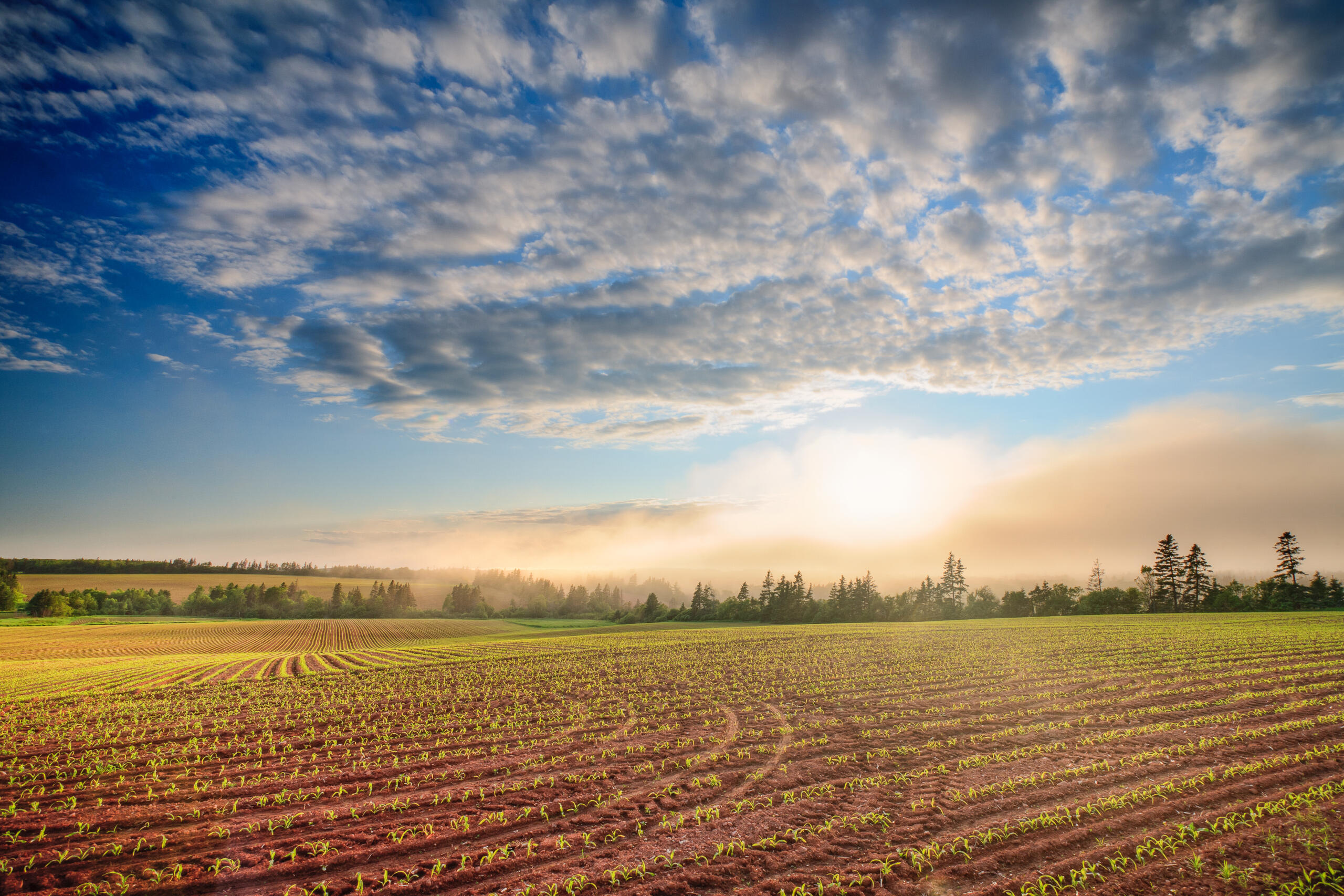 Prince Edward Island Fields Prince Edward Island Rolling Fields